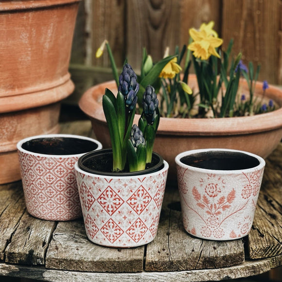 Old Style Dutch Pot in Pink