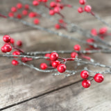 Close-up of red berries on a frosted twig stem
