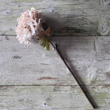 Dried Touch Ruffled Hydrangea - Oyster