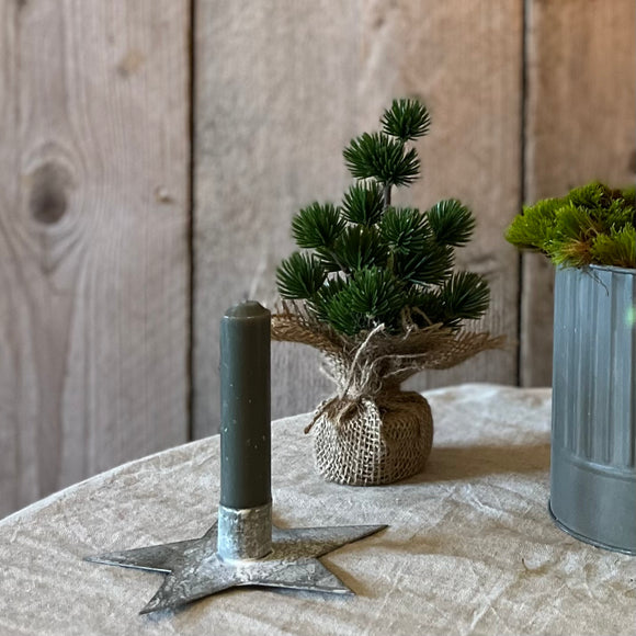 Mini Potted Cedar Tree
