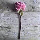 Dried Touch Ruffled Hydrangea - Dusty Pink