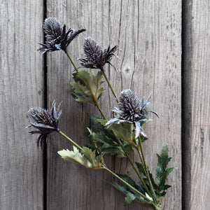Thistle Stem
