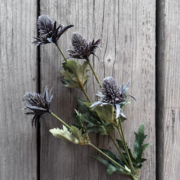 Thistle Stem