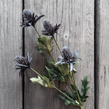 Thistle Stem