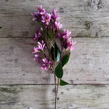 Spring Blossom Spray - Lilac