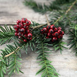 Mini Red Berry Bunch
