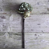Dried Touch Ruffled Hydrangea - Green