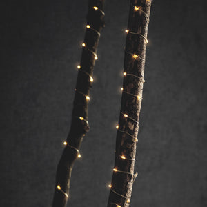 10M Indoor/Outdoor Wire Lights