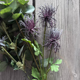 Purple Echinops Stem