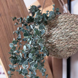 Trailing Faux Eucalyptus
