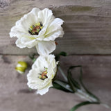 Layered Poppy Stem - Cream