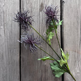 Purple Echinops Stem