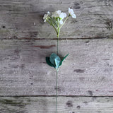 Long Stem Daisy Sprig