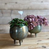 Antiqued Green Iron Pot - Small