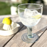 Recycled Glass Gin Glass