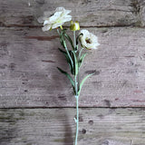 Layered Poppy Stem - Cream