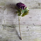 Dried Touch Closed Peony - Aubergine