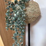 Trailing Faux Eucalyptus
