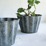Fluted Zinc Pot