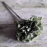 Dried Touch Ruffled Hydrangea - Green