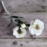 Layered Poppy Stem - Cream