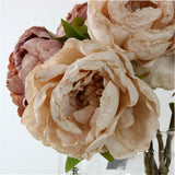 Dried Touch Closed Peony - Nude & Pink