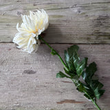 Spikey Mum Flower - Ivory
