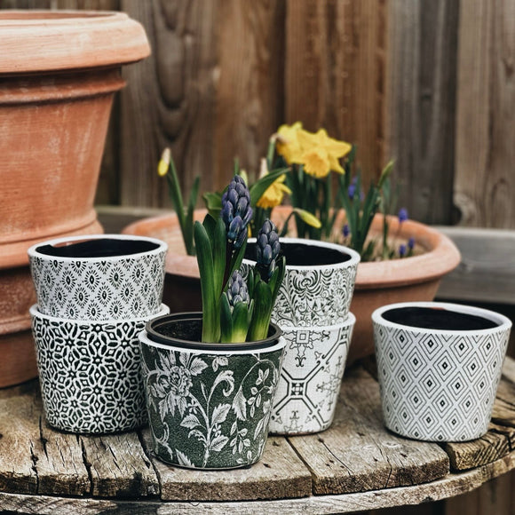 Old Style Dutch Pot in Green