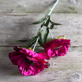 Layered Poppy Stem - Hot Pink