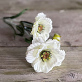 Layered Poppy Stem - Cream