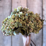 Single Green Hydrangea Stem