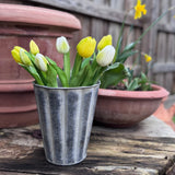 Faux Tulip Bunch - White