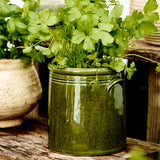 Olive Green Glazed Pot