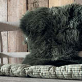 Single Sheepie in Green