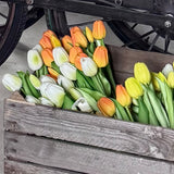 Faux Tulip Bunch - White
