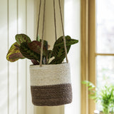 Half Stripe Seagrass Hanging Planter