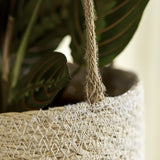 Half Stripe Seagrass Hanging Planter