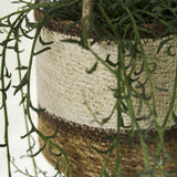 Multi Stripe Seagrass Hanging Planter