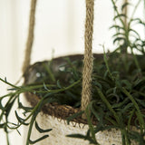 Multi Stripe Seagrass Hanging Planter