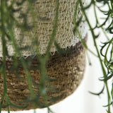 Multi Stripe Seagrass Hanging Planter