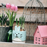 Blue Rabbit Planter