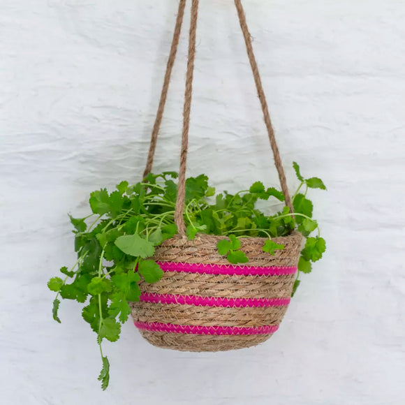 Pink Stripe Hanging Basket