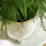 Stoneware Plant Pot on Feet