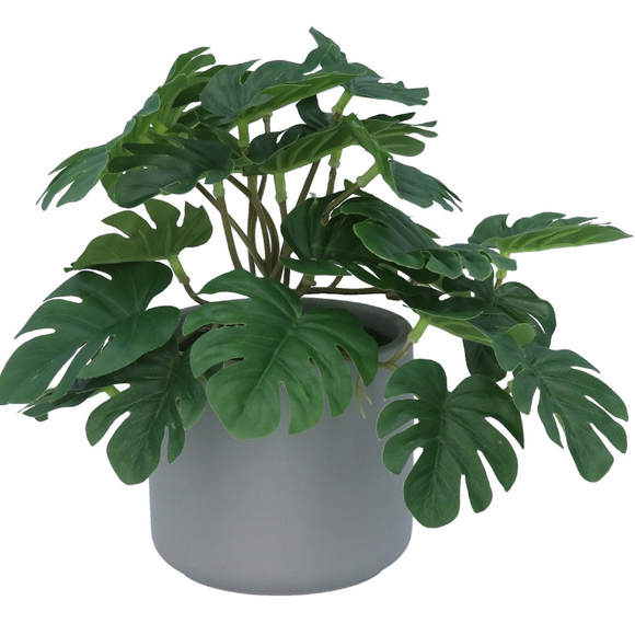 Potted Faux Mini Swiss Cheese Plant