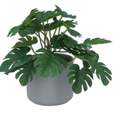Potted Faux Mini Swiss Cheese Plant