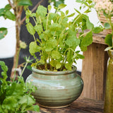 Shallow Green Glazed Pot