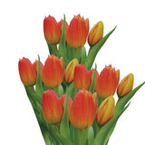 Faux Tulip Bunch - Burnt Orange