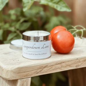 Camperdown Lane Tomato Leaf & Sea Buckthorn Candle