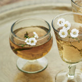 Hammered Cocktail Glass