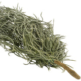 Trailing Faux Tillandsia